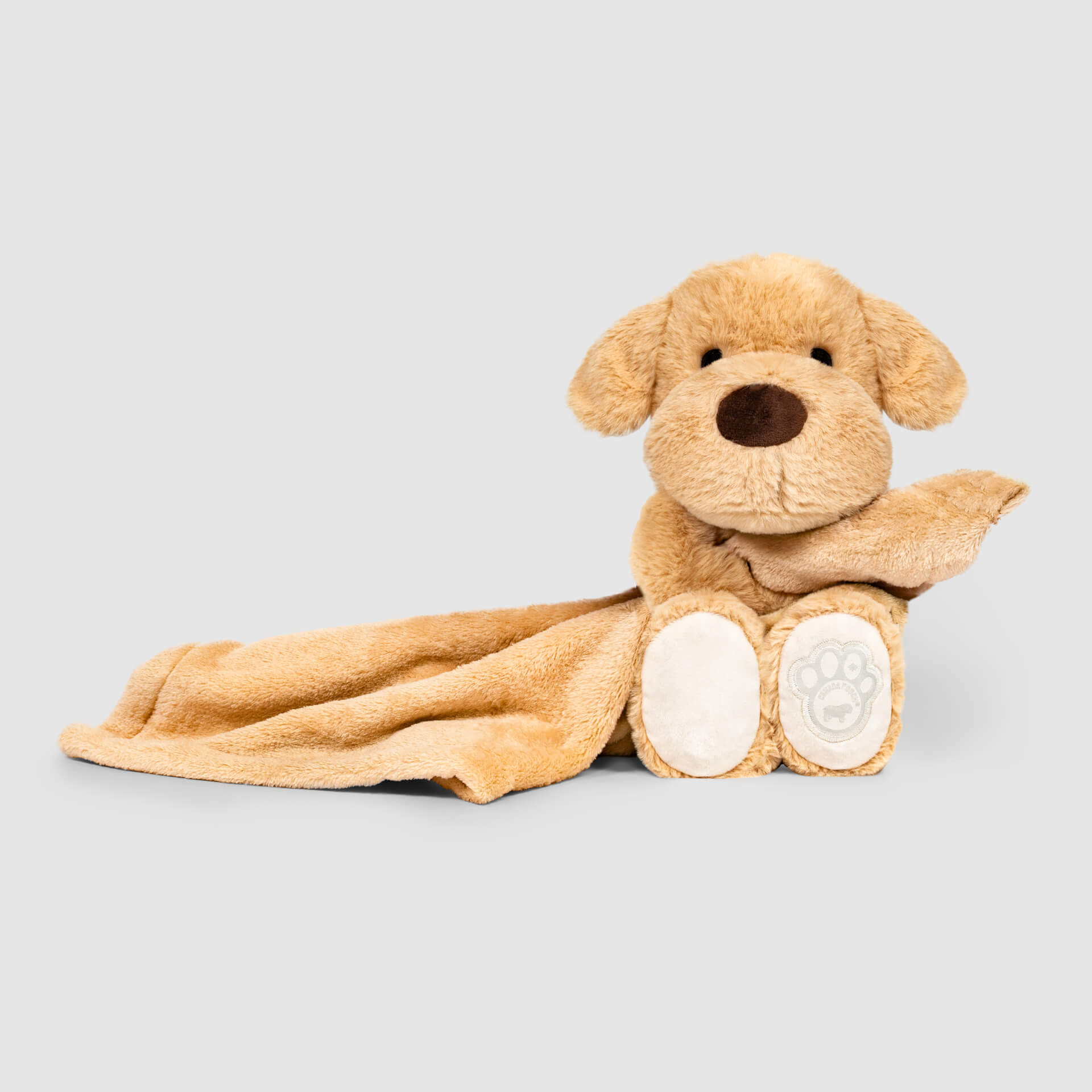 Weighted Calming Toy WGCH